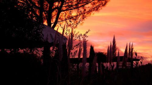 Agroturismo Agriturismo La Terra
