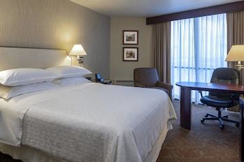Hotel Sheraton Houston Brookhollow