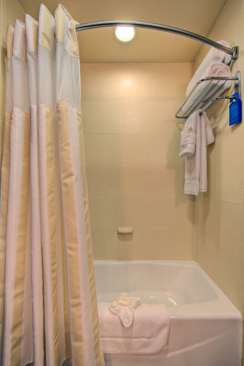 Hotel Hilton Garden Inn Dfw North Grapevine