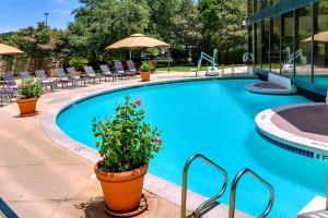 Omni Austin Hotel Southpark