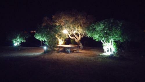 Apartamento Baia Turchese Olbia