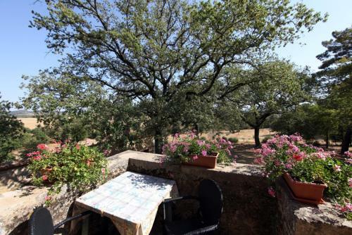 Agroturismo Agriturismo Torrenieri Da Alessandro