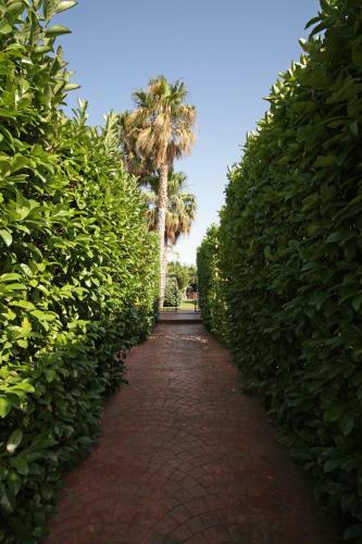 Bed & Breakfast Homi Country Retreat