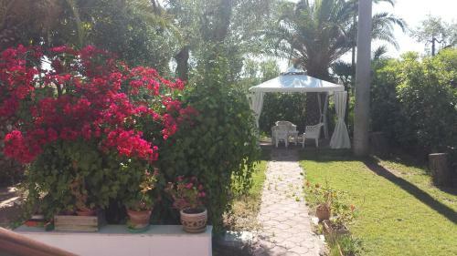 Apartamento Residence Alba