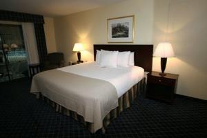 Hotel Holiday Inn Boxborough Woods