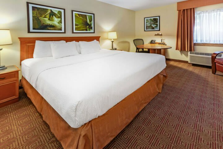 Hotel La Quinta Inn & Suites Tampa - Brandon West