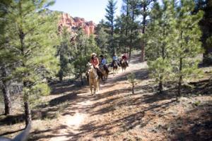 Hotel Best Western Ruby's Inn