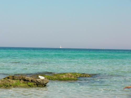 Apartamento Appartamento Gallipoli In Spiaggia