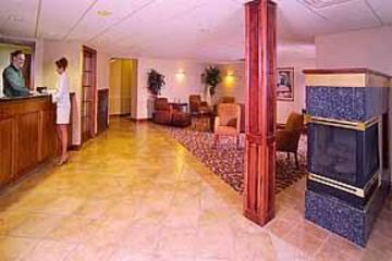 Hotel Quality Inn And Suites