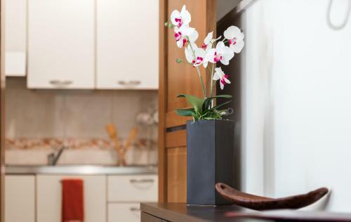 Suite San Nicola - East End Apartments