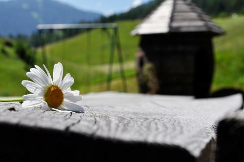 Apartamento Pension Rungg