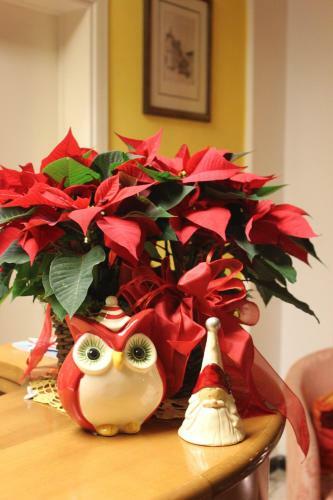 Hotel Albergo Alassio