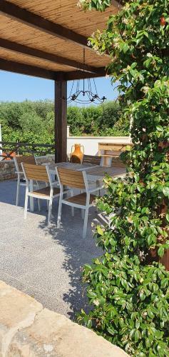 Agroturismo Masseria Cesarina B&B
