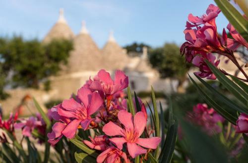 Apartamento Trulli Angela