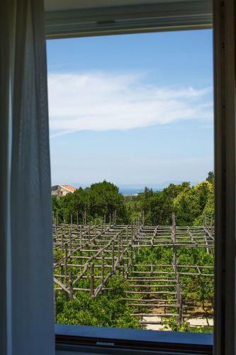 Hostal Villa Don Camillo