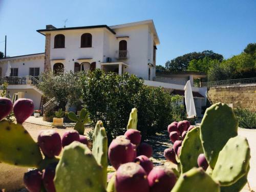 Bed & Breakfast Residence Cardinale