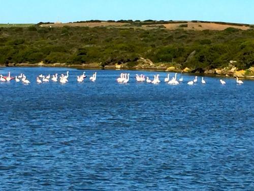 Apartamento Case Vacanza Cala Lupo