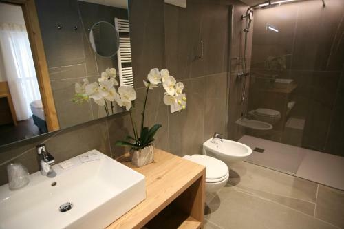 Alpen Hotel Vidi