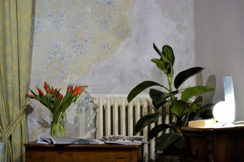 Il Palazzo Boutique B&B