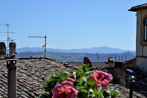 Il Palazzo Boutique B&B