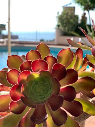 Apartamento Casa Vacanze Andromaco