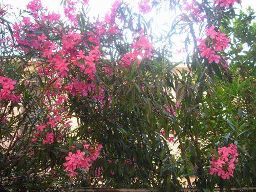 Apartamento Residence Giusti 6