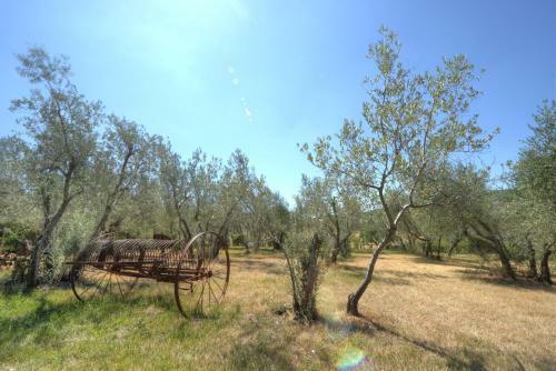 Agroturismo Agriturismo San Gallo