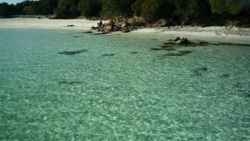 Apartamento Villa Mariposa Appartamenti