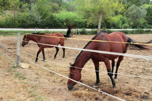 Agroturismo Agriturismo Maramaldo