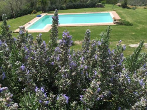 Agroturismo Agriturismo Poggio Cucco