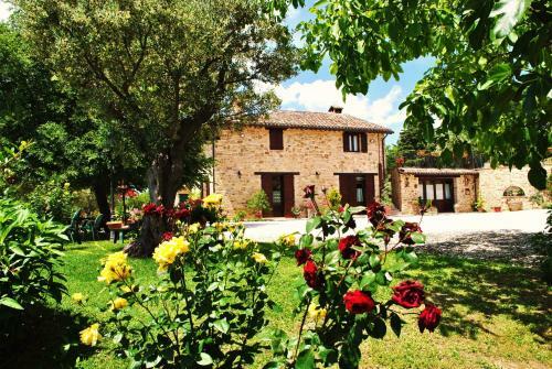 Agroturismo Agriturismo L'antico Oliveto