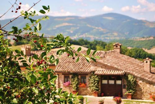 Agroturismo Agriturismo L'antico Oliveto