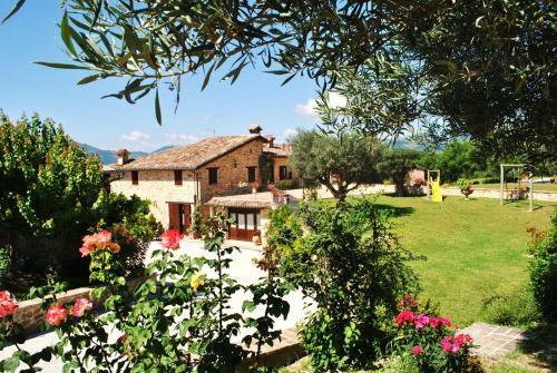 Agroturismo Agriturismo L'antico Oliveto