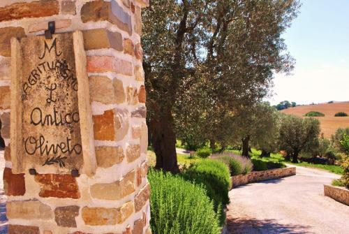 Agroturismo Agriturismo L'antico Oliveto