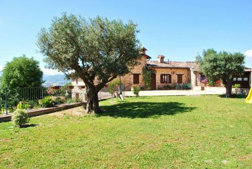 Agroturismo Agriturismo L'antico Oliveto