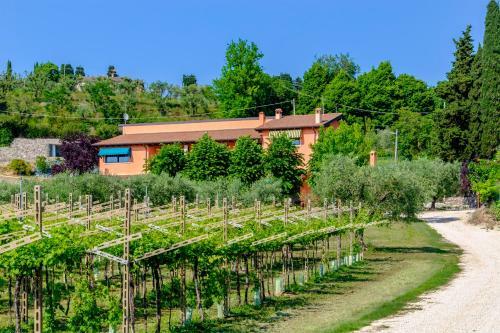 Agroturismo Al Colle