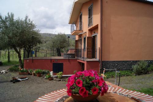 La Casa Di Filippo