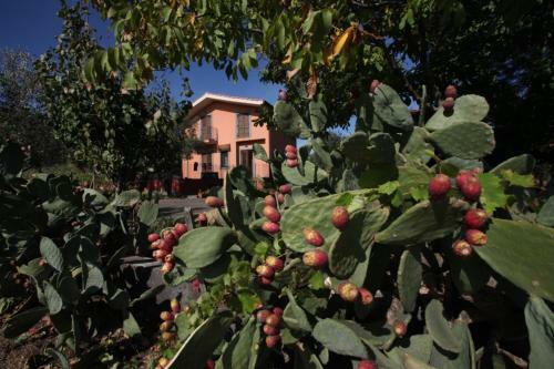La Casa Di Filippo