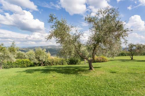 Agroturismo Fattoria Querceto