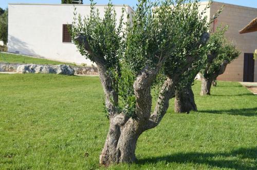 Agroturismo Agriturismo Casa Del Peperoncino