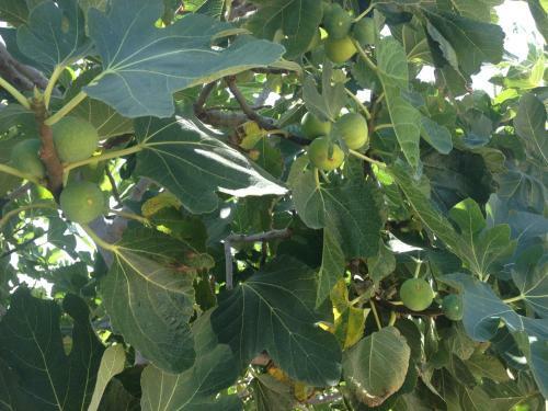 Seaside Villas Polignano Paradise