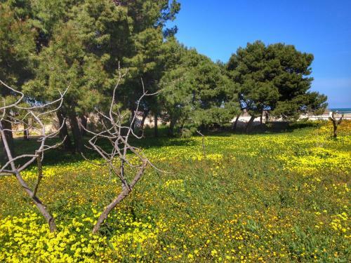 Seaside Villas Polignano Paradise