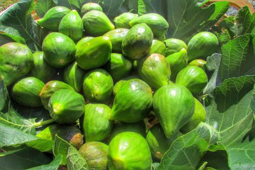 Seaside Villas Polignano Paradise