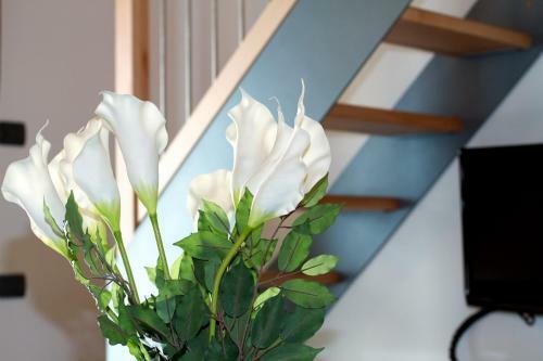 Apartamento Appartamenti Gallo