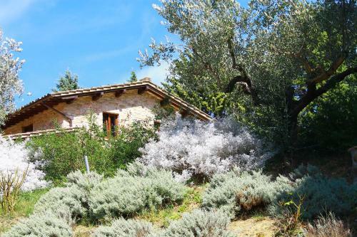 Agroturismo Antica Fonte