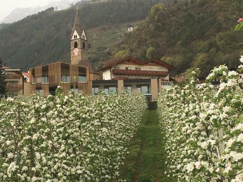 Apartamento Panorama Residence �hlerhof