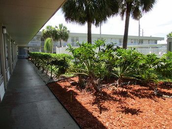 Hotel Days Inn Kennedy Space Center
