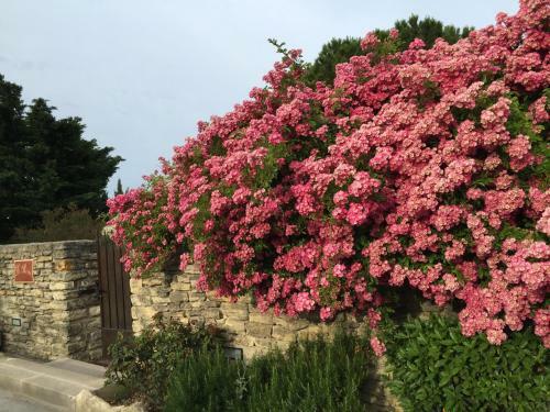 Bed & Breakfast La Borie En Provence