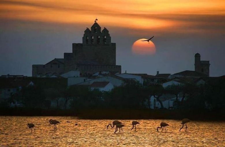 Hotel Les Palmiers En Camargue