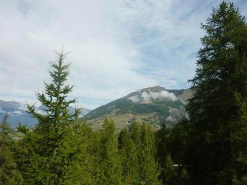 Rental Apartment L'eperviere